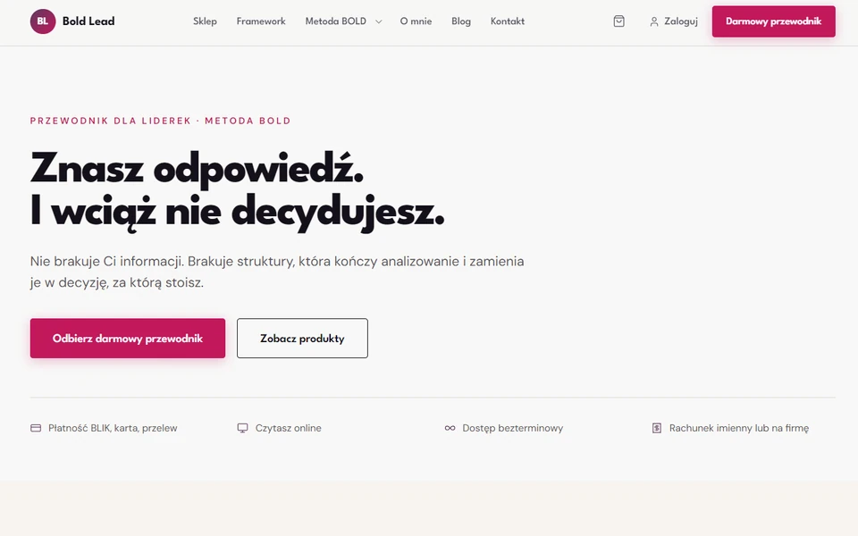 System sprzedażowy boldlead.pl – widok strony głównej